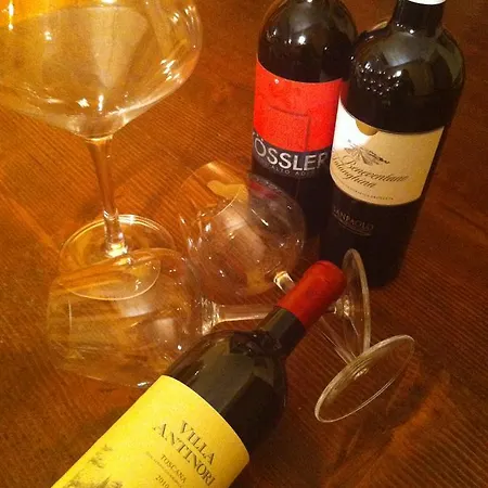 Americana Hotel Serina (Lombardy)