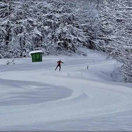 Americana Serina (Lombardy)